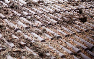 Griffithstown roof cleaning companies